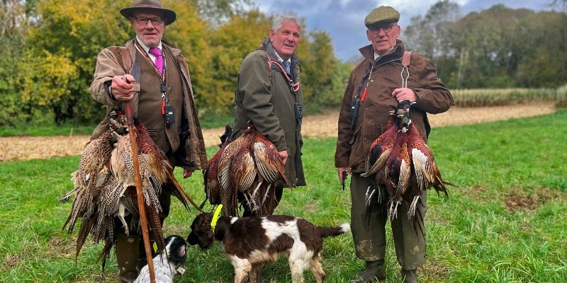 Driven Pheasant Line Shoots